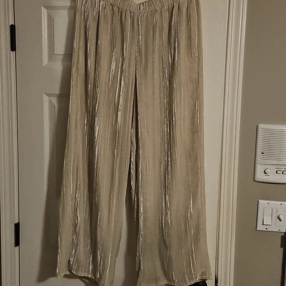 NWT Eileen Fisher Crushed Velvet Wide Leg Pant: Almond Color: Size- Large - Picture 9 of 10